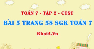Bài 5 trang 58 SGK Toán 7 tập 2 Chân trời sáng tạo